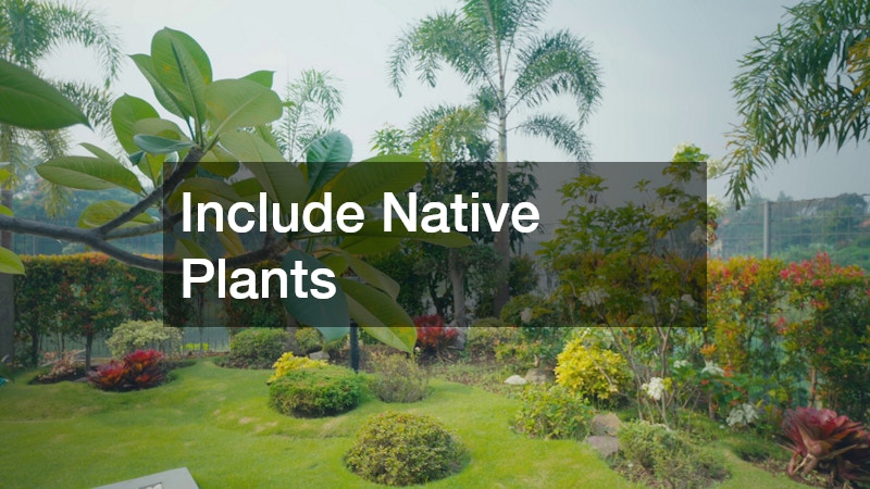 a healthy lawn with many plants