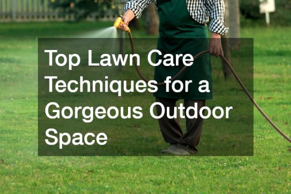 Top Lawn Care Techniques for a Gorgeous Outdoor Space