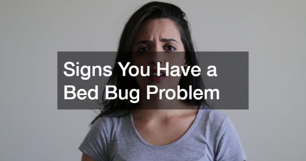 Signs You Have a Bed Bug Problem