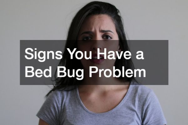 Signs You Have a Bed Bug Problem